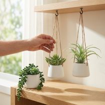 daiktų Pakabinami krepšeliai sukulentai dirbtinė žalia asorti 18cm 3vnt