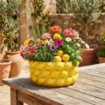 daiktų Sodintuvas citrininis keraminis dubuo sodinukas geltonas Ø26cm H12cm