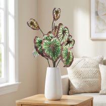 daiktų Begonija Dirbtiniai augalai Lapas Begonijos Žalia Violetinė 62cm