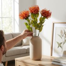 daiktų Pincushion Egzotinė dirbtinė gėlė apelsinas Leucospermum Protea 73cm 3vnt.