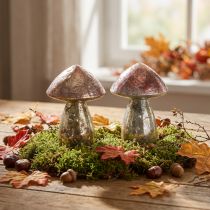 daiktų Dekoratyviniai grybai rožiniai rudens dekoravimo stiklai Ø9cm H13,5cm 2vnt