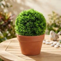 daiktų Žolės kamuoliukas dekoratyvinis rutulys žali dirbtiniai augalai apvalūs Ø18cm 1 vnt