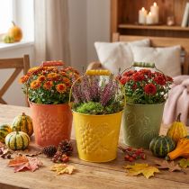 daiktų Dekoratyvinis kibiras su skalbtais vaisiais geltona, oranžinė, žalia Ø15cm H14cm rinkinys iš 3 vnt.