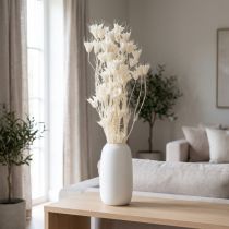 daiktų Džiovintos juodgrūdžių puokštės, elegantiška natūrali puošmena išskirtiniam interjerui, 70 cm, 50 g