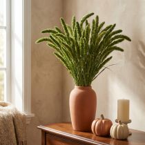 daiktų Džiovintos gėlės, Setaria Pumila, šerių žalia 75 cm 200 g