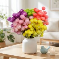 daiktų Džiovintos gėlės Deco kepuraitės gėlės šiaudinės gėlės Spalvotos H42cm