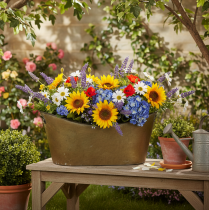 daiktų Vazonų ir kubelių rinkinys augalams, vario spalvos/baltas, ilgis 32,5 cm/36,5 cm/41,5 cm