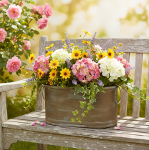 daiktų Metalinių augalų vazonų ir vonelių rinkinys, vintažinio retro stiliaus, ilgis 22,5 cm / 27 cm / 31 cm