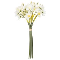 daiktų Narcizo šakelė sezoninėms vestuvių kompozicijoms, graži, 33 cm, 6 vnt.