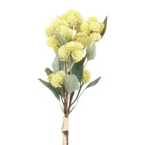 Riebalai vištiena Green Sedum Stonecrop Dirbtinės gėlės 41cm 3vnt