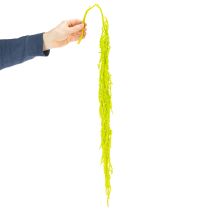 daiktų Lapės uodegos džiovintos gėlės, dažytos, ypatingam namų dekorui ir unikaliems akcentams, 100 cm, 5 vnt.