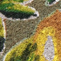 daiktų Kilimėlis citrininis kokosinis durų kilimėlis kokosinis 40×60cm