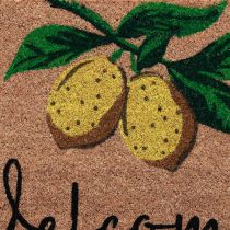 daiktų Kilimėlis Lemon Welcome Doormat Coconut 40×60cm