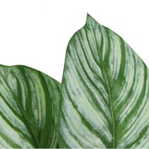 daiktų Calathea dirbtinis krepšelis Marante dirbtiniai augalai žalias 51cm