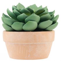 daiktų Sultingas augalas vazone Echeveria dirbtinė žalia Ø15cm