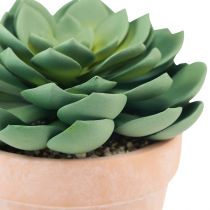 daiktų Sultingas augalas vazone Echeveria dirbtinė žalia Ø15cm
