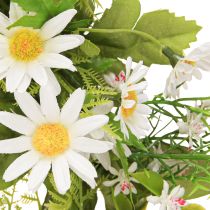 daiktų Daisy Vainikas Baltas Žalias Dirbtinis Ø28cm H9cm