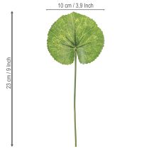daiktų Galax Urceolata lapai dirbtiniai žali Ø10cm L23cm 12 vnt