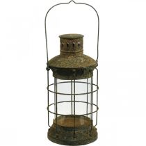 Sodo dekoravimo grotelės, sodo žibintas, metalinis žibintas Ø17cm H33cm