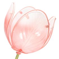 daiktų Dekoratyvinė tulpė sodo kuolei, gėlynams ir apvadams, 94 cm