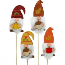 daiktų Sodo kuoliukai Gnome rudens puošmena Mediena Asorti 39cm 8 vnt