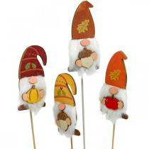 daiktų Sodo kuoliukai Gnome rudens puošmena Mediena Asorti 39cm 8 vnt