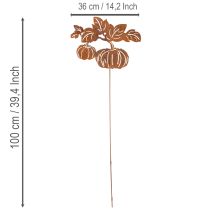 daiktų Sodo kuolas su moliūgo motyvu, metalinė dekoracija, rūdžių spalvos, 100 cm