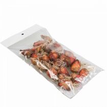 daiktų Daržovių dekoravimas mini burokėliai dirbtiniai Ø2,5cm H3,5cm 24 vnt