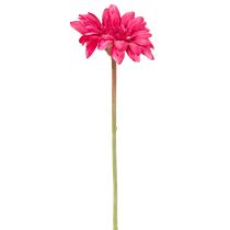 daiktų Dirbtinių gerberų puokštė gaiviai ir lengvai prižiūrimai dekoracijai, 47 cm, 32 vnt.