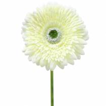 daiktų Gerbera dirbtinė balta 62cm 6vnt