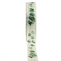 daiktų Dovanų juostelė eukalipto dekoratyvinė juostelė žalia 25mm 20m