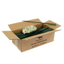 daiktų Išdėstymo vamzdeliai 30cm x 1,5cm 100 vnt