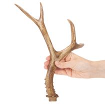 daiktų Dirbtiniai ragai, tikroviški, kaimiški, 32 cm