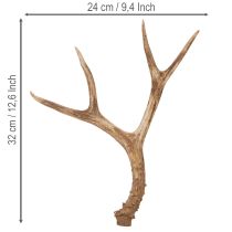 daiktų Dirbtiniai ragai, tikroviški, kaimiški, 32 cm