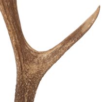 daiktų Dekoratyviniai dirbtiniai elnių ragai, kaimiško stiliaus namelio puošmena, 50 cm