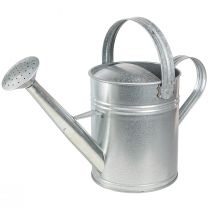 daiktų Dekoratyvinė laistytinė retro dizaino metalinė sidabrinė 42x15,5x27cm