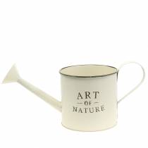 daiktų Vintažinis gėlių vazonas/laistytuvas, cinko spalvos, kreminės spalvos, dekoratyvinis indas, Ø16,5 cm