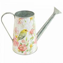 Dekoratyvinė laistytuvas metalinis sodinimui, sodinamoji skardinė H22cm