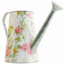 Dekoratyvinė laistytuvas metalinis sodinimui, sodinamoji skardinė H22cm