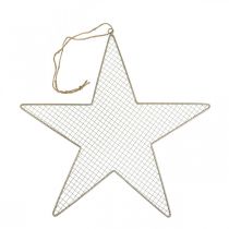 Metalinė žvaigždės tinklelio dekoracija žvaigždės metalo puošmena auksinė Ø47cm