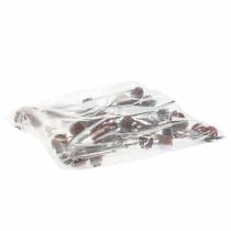 daiktų Džiovinti echinokokinės uogienės (Glabrum Leucospermum) žiedai 25-40 cm 25 vnt.