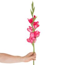 daiktų Dirbtinė kardelė su dekoratyvinėmis gėlėmis, 88 cm