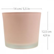 Stiklinis vazonas rožinio stiklo kubilas Ø14,5cm H12,5cm