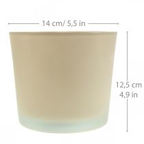 daiktų Stiklinis gėlių vazonas smėlio spalvos vazonas stiklinis vazonas Ø14,5cm H12,5cm