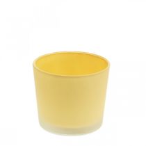 Stiklinis gėlių vazonas geltonas vazonas stiklinis kubilas Ø10cm H8,5cm