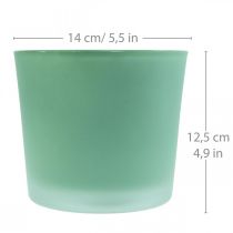 Stiklinis gėlių vazonas žalias vazonas stiklinis kubilas Ø14,5cm H12,5cm