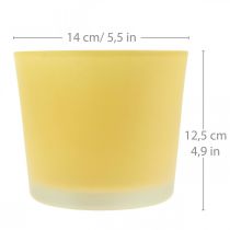 daiktų Stiklinis gėlių vazonas geltonas augalų vazonas stiklinis kubilas Ø14,5cm H12,5cm