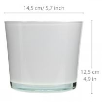 daiktų Stiklinis gėlių vazonas baltas vazonas stiklinis kubilas Ø14,5cm H12,5cm