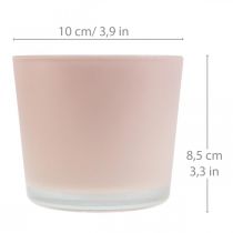 Stiklinis vazonas rožinio stiklo kubilas Ø10cm H8,5cm