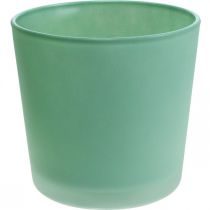 Stiklinis gėlių vazonas žalias vazonas stiklinis kubilas Ø11,5cm H11cm